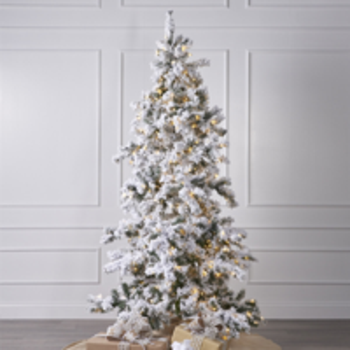 Fairbanks Christmas Tree