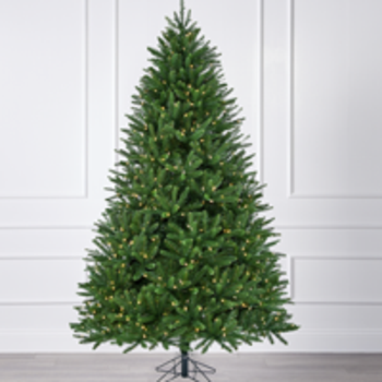 Royal Fir Christmas Tree
