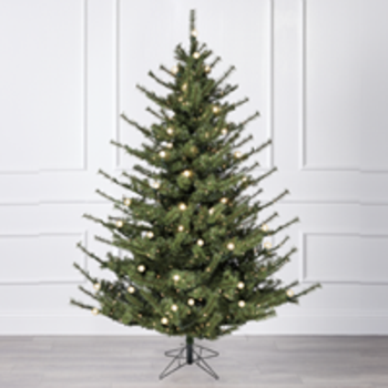 Hickory Christmas Tree
