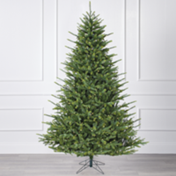 Telluride Fir Christmas Tree