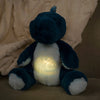 11IN LIGHT AT NIGHT SPOTT STEGOSAURUS - Christmas Place