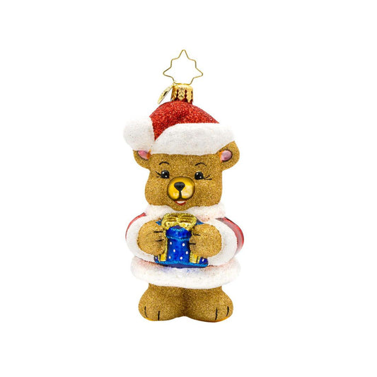 2025 Beary Special Present Ornament