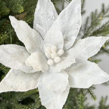 22 Inch Sugar Poinsettia Spray