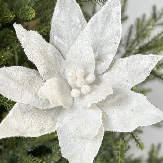 22 Inch Sugar Poinsettia Spray