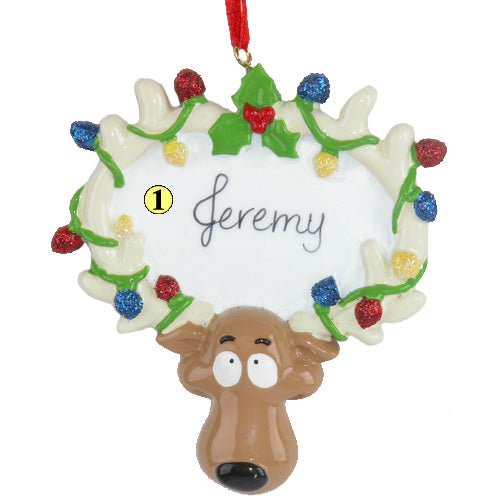 Reindeer With Lights