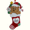 Bear in Stocking