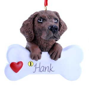 Chocolate Lab Retriever