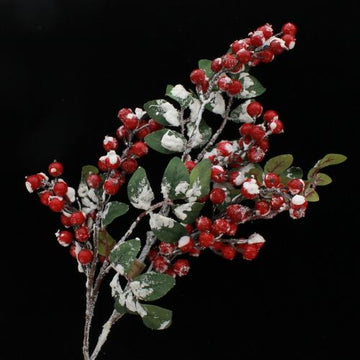Snow Berry with Leaf Branch