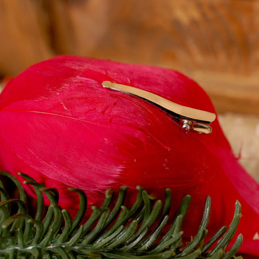 Beautiful Christmas Cardinal Decor with Clip Christmas Place
