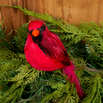 Fat Red Cardinal Clip