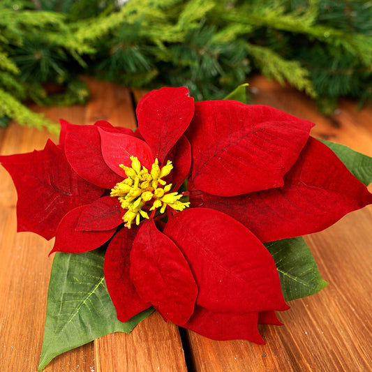 30IN RED NATURAL POINSETTIA - Christmas Place