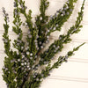 22IN Juniper Berry Spray - Christmas Place