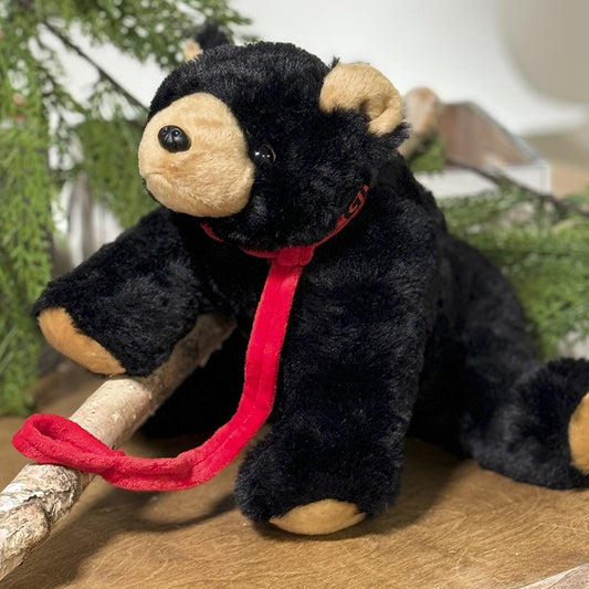 Black Bear with Leash