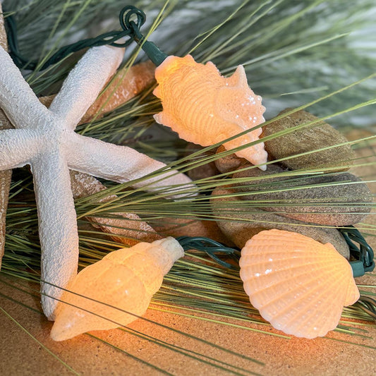 Seashell Light Set