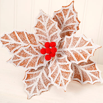 Ginger Frost Poinsettia