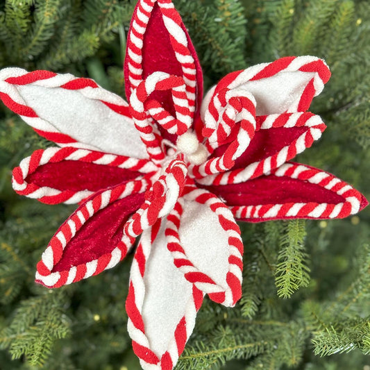 13 inch Peppermint Poinsettia