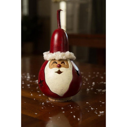 Small Winter Santa Gourd