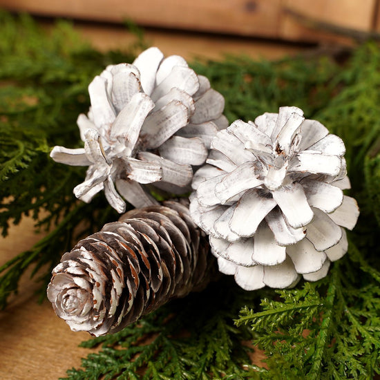 8IN WHITE PINECONE PICK - Christmas Place
