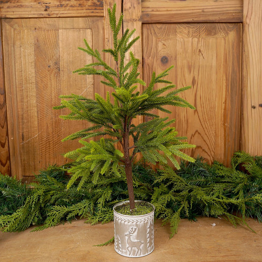 23.5Inch Norfolk Pine Potted Tree - Christmas Place