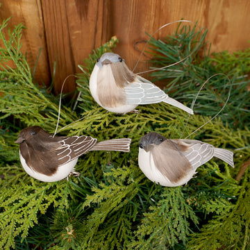 Blue Bird Clip