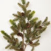 36In Pine Spray With Cones