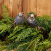 Blue Natural Bird Clip Ornament