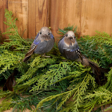 Blue Natural Bird Clip Ornament
