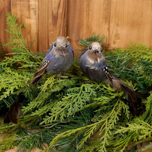 Blue Natural Bird Clip Ornament - Christmas Place