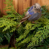 Blue Natural Bird Clip Ornament