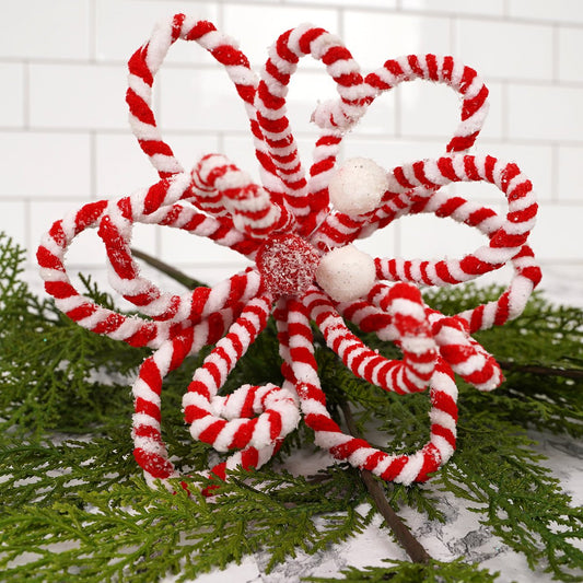 Peppermint Loop Poinsettia - Christmas Place