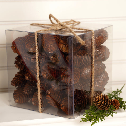 Box of Natural Pinecones