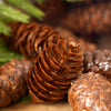 Box of Natural Pinecones