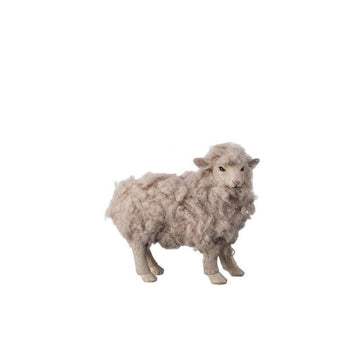 5In Wool Sheep