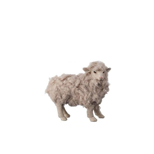 5In Wool Sheep