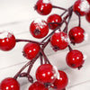 Snowy Red Crabapple Stem