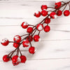 Snowy Red Crabapple Stem
