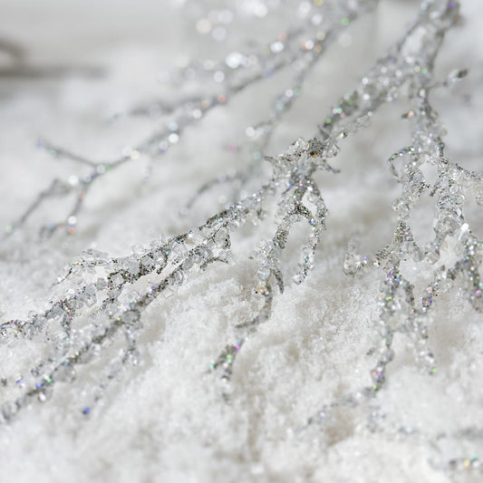 Iridescent Ice Twig Stem