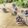 25Inch Pinecone Spray Ice