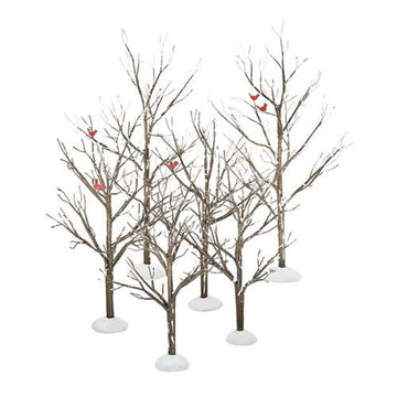 Village Bare Branch Trees