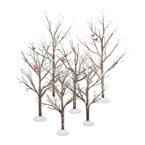 Village Bare Branch Trees