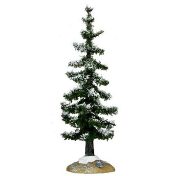 Small Blue Spruce Tree