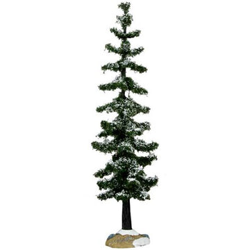 Large Blue Spruce Tree