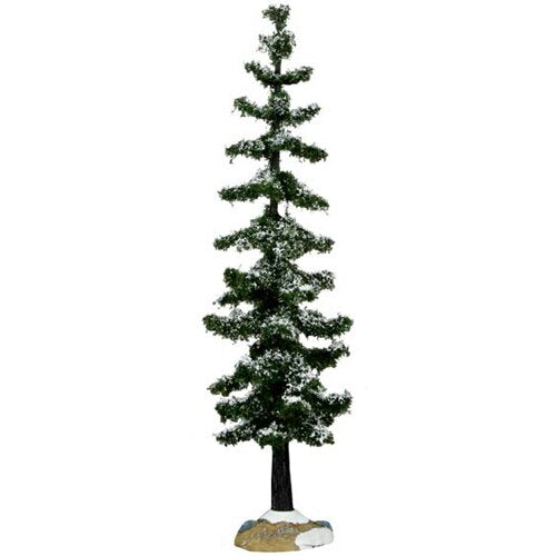 Large Blue Spruce Tree