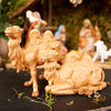 Camels Set Of 2 - Christmas Place