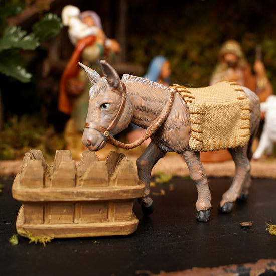 Mary`s Donkey - Christmas Place
