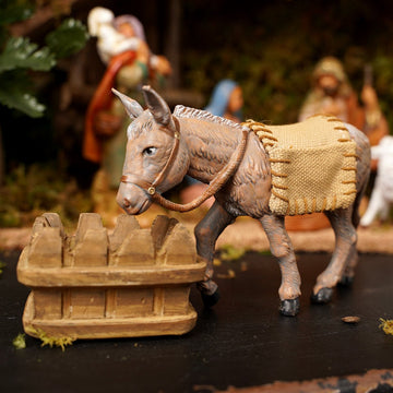Mary`s Donkey - Christmas Place