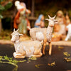 Goats 2 Piece Set - Christmas Place