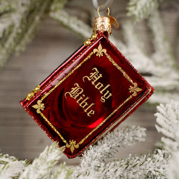 Red Glass Holy Bible