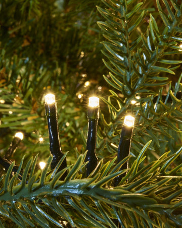 448 Warm White Cluster Light Set