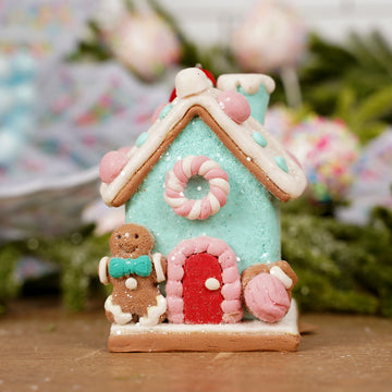Turquoise Pink Dough House Ornament